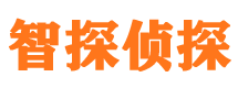 合山调查事务所